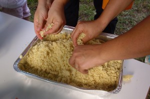 IMG_1954