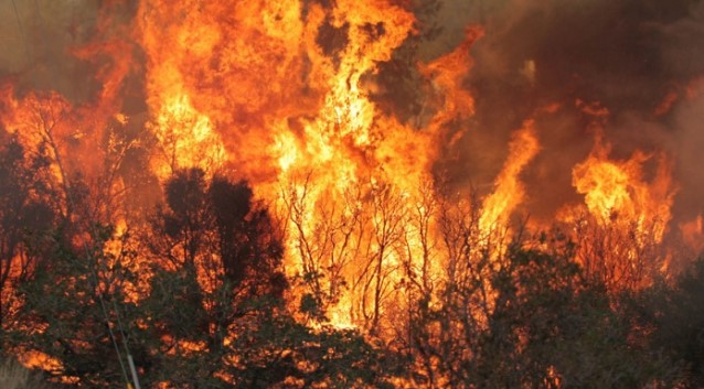 thumbnail_incendi