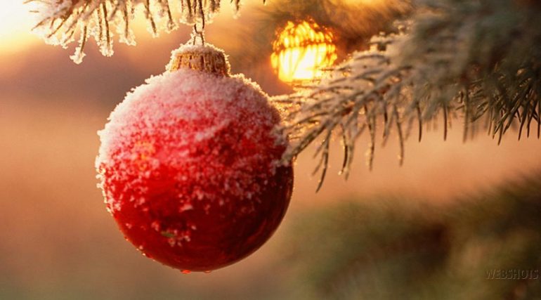 Data Del Natale.Frosinone Christmas Village La Magia Del Natale Al Parco Matusa Gente Comune